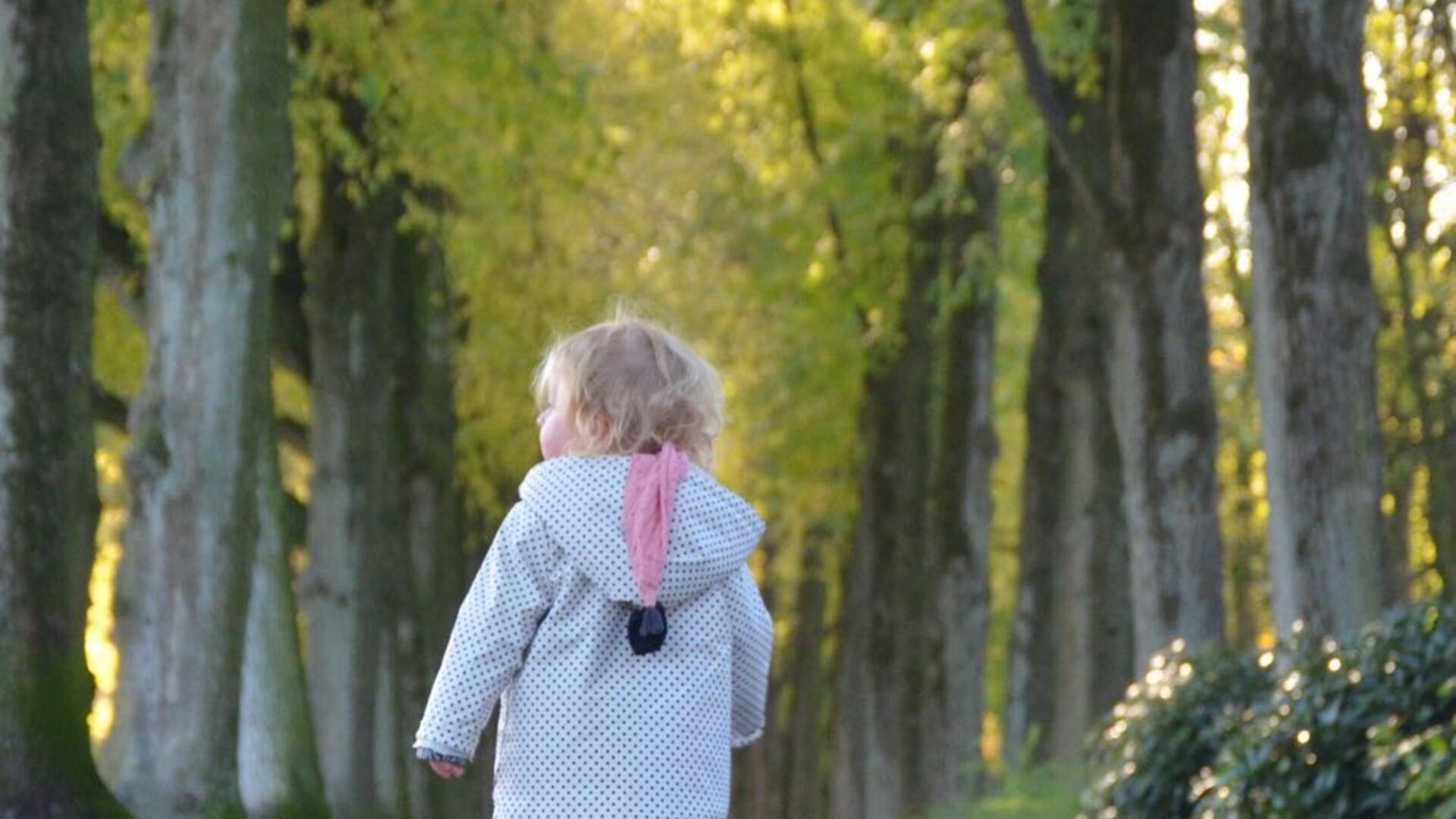 peuter met blonde krullende haren stapt over laan met bomen aan weerszijden